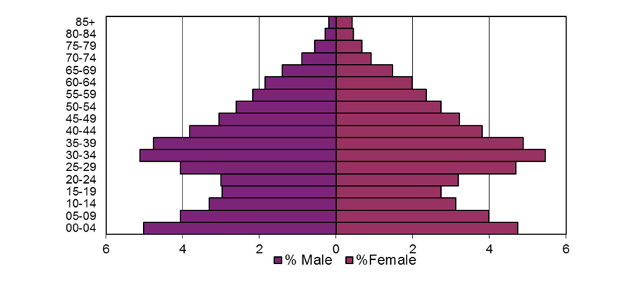 Fingal's Population Profile in 2011