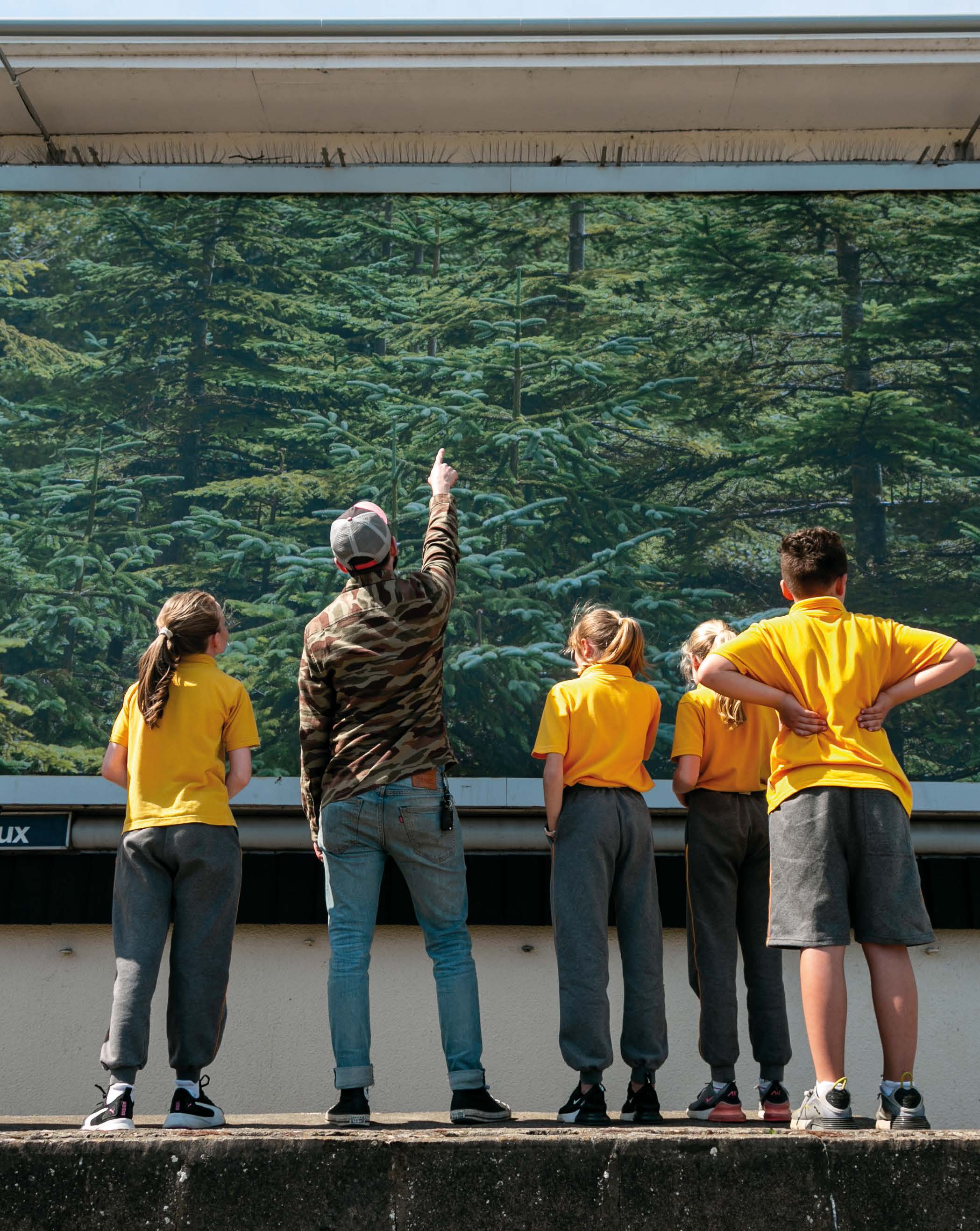 Photo: Adult and children looking at pointing at trees