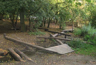 photo of a natural play area