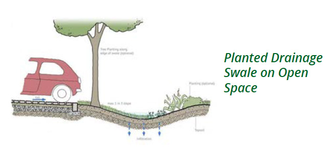 illustration: Planted Drainage Swale on Open Space