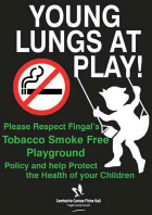 Poster, young lungs at play